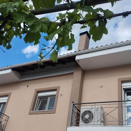 Voula Home -Ioannina-Neokesaria ภายนอก รูปภาพ